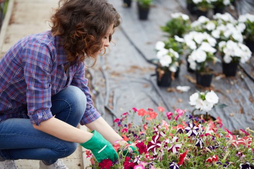 Green waste bagged for removal on a Vauxhall street