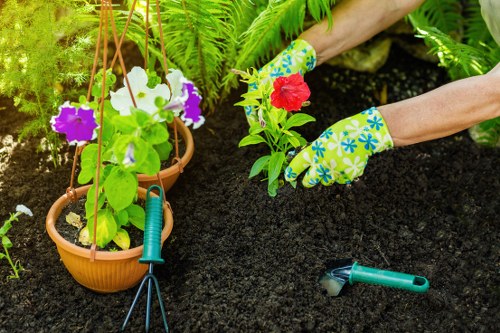 Gardening team arriving at a Vauxhall garden with tools and materials