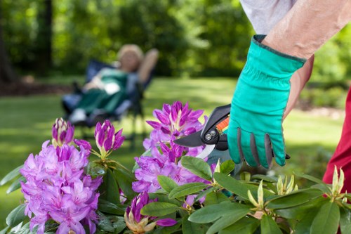 Close-up of soil and tools used in local gardening
