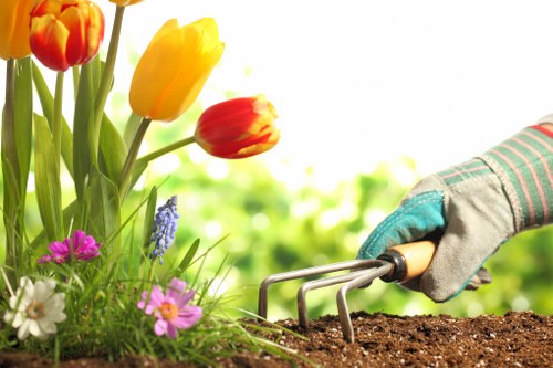 Maintenance of a vibrant Vauxhall garden