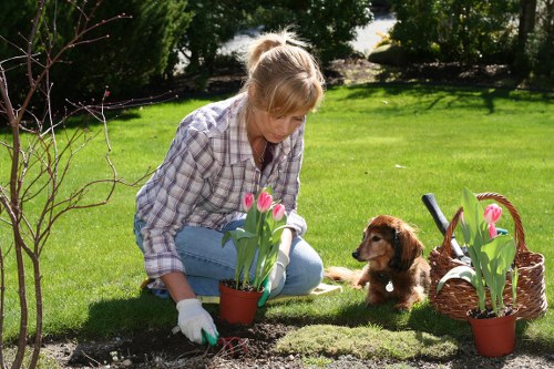 Understanding Vauxhall's temperate climate for gardening
