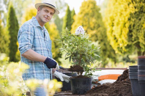 Selection of native plants suitable for Vauxhall gardens